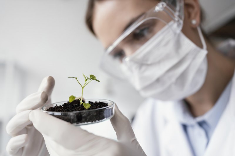 El papel de la propiedad intelectual en la biotecnología